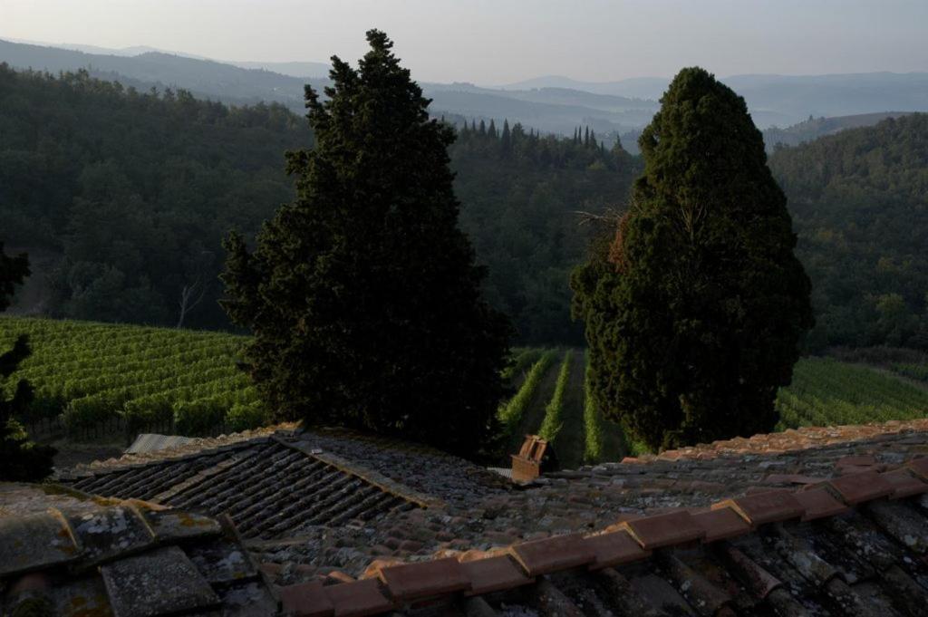 Poggio al Sole Villa Badia A Passigano Esterno foto