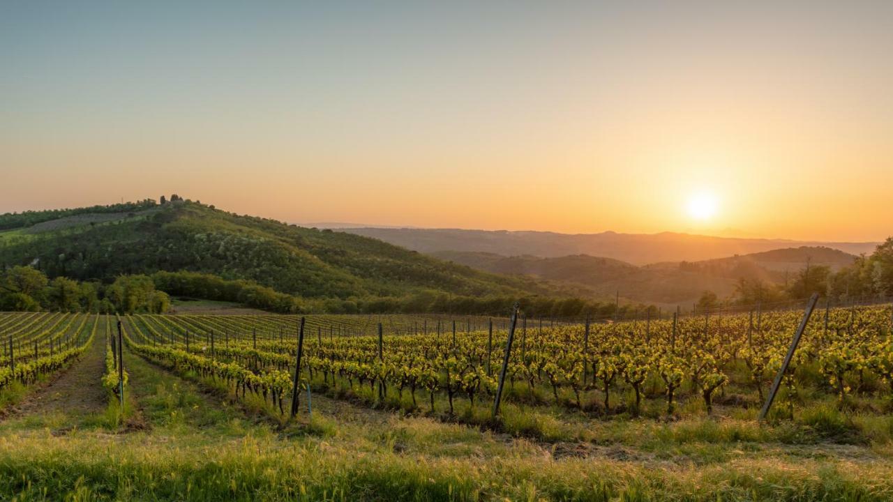 Poggio al Sole Villa Badia A Passigano Esterno foto