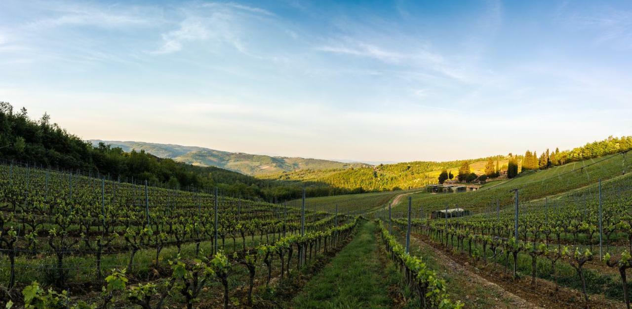 Poggio al Sole Villa Badia A Passigano Esterno foto